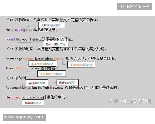 足球明星倾情献声精彩配音背后的故事与感人词句解析