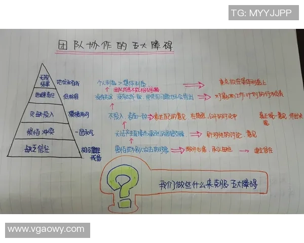 赛后分析：西安排球队与深圳排球队的团队协作表现及其影响
