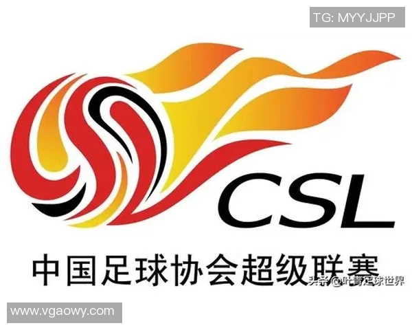 武汉足球队运营模式解析与未来发展展望