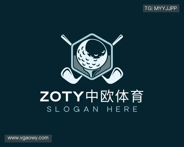 介绍zoty中欧