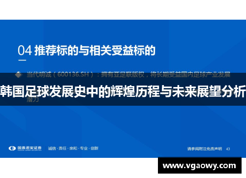 韩国足球发展史中的辉煌历程与未来展望分析