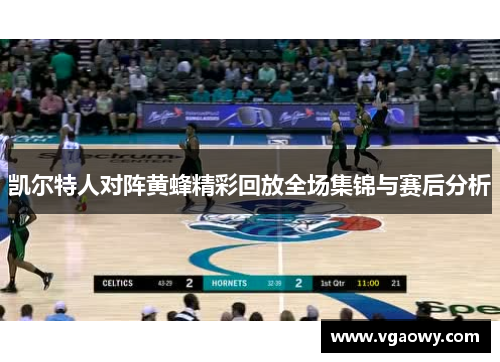 凯尔特人对阵黄蜂精彩回放全场集锦与赛后分析
