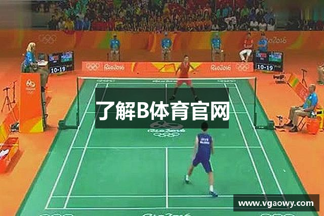 了解B体育官网